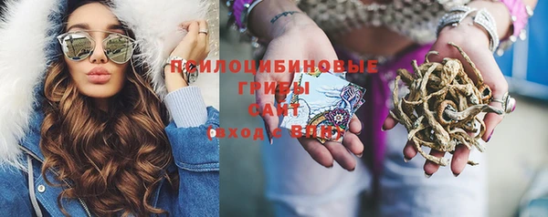 эйфоретик Козельск