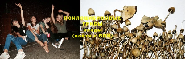 эйфоретик Козельск